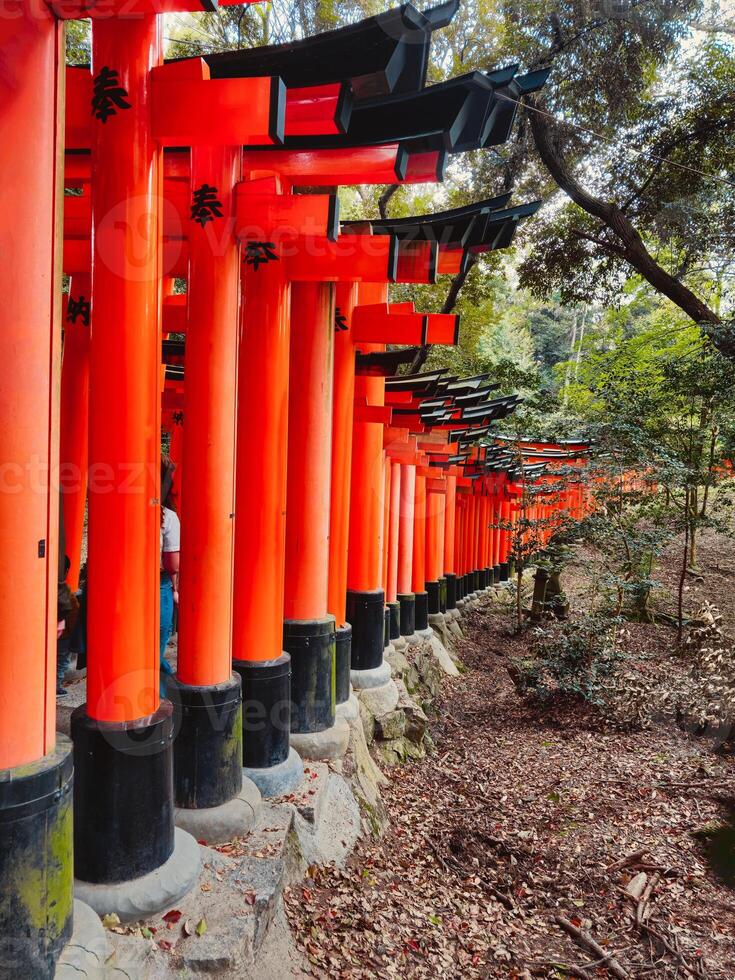 kromme vorm van een Japans cultureel structuur foto