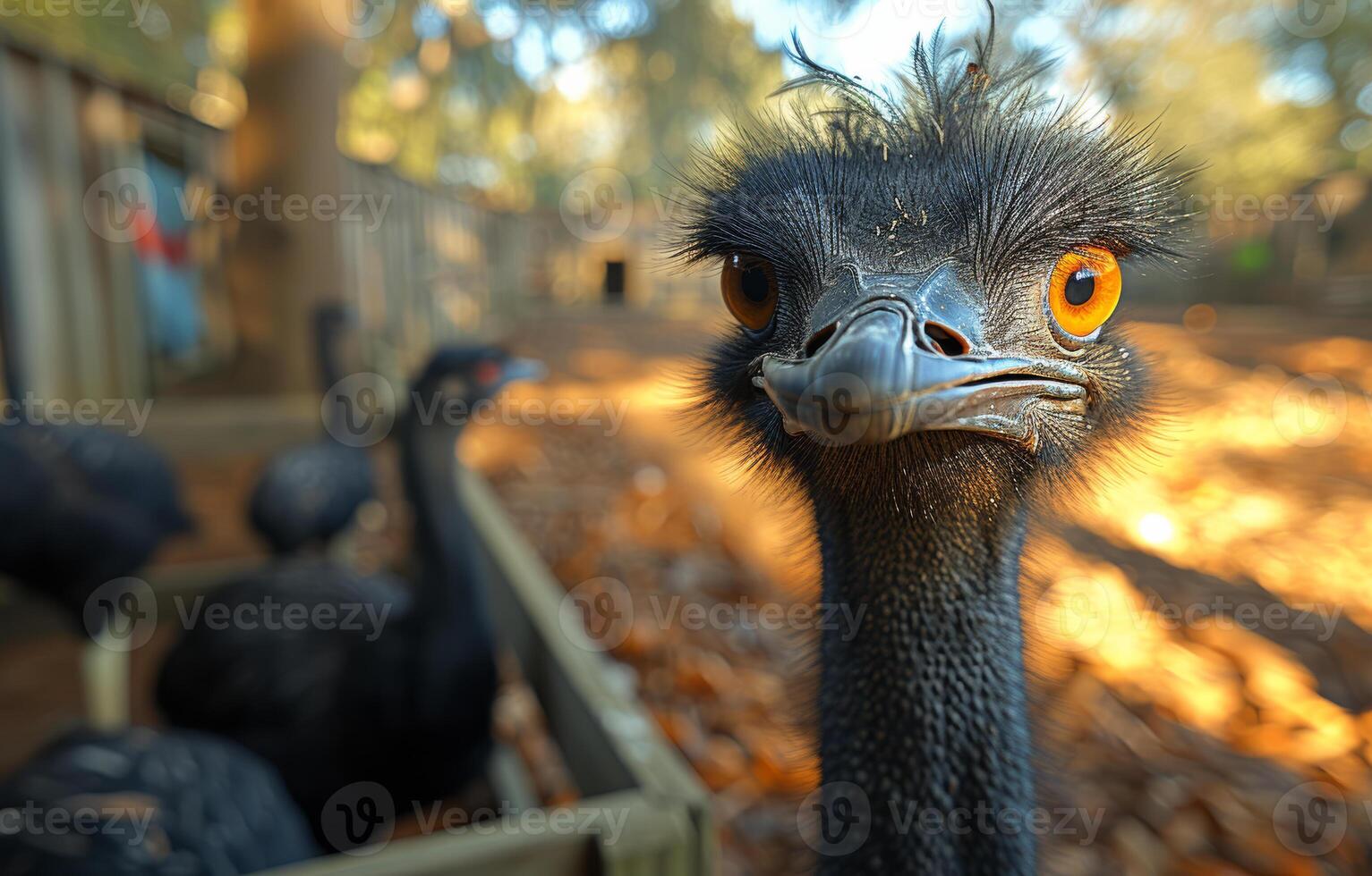 ai gegenereerd struisvogel op zoek Bij de camera foto