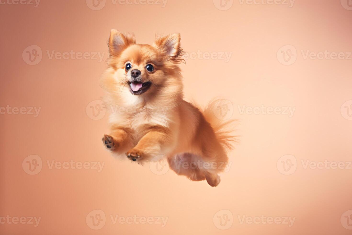 ai gegenereerd klein, pluizig, oranje hond jumping in lucht Aan wit achtergrond, gretig voor voedsel. foto