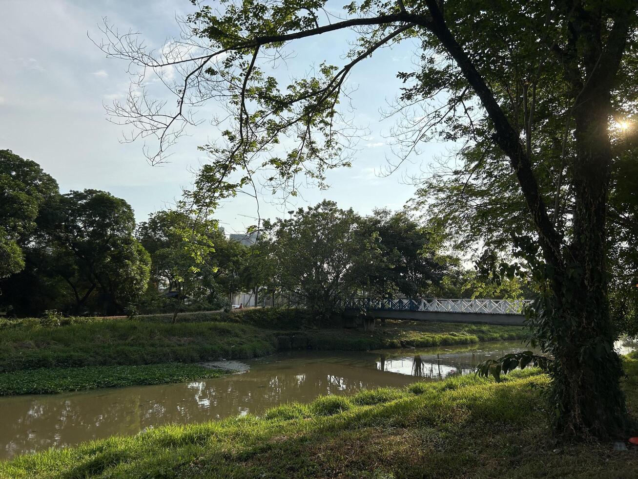 rustig rivier- tafereel temidden van weelderig groen foto