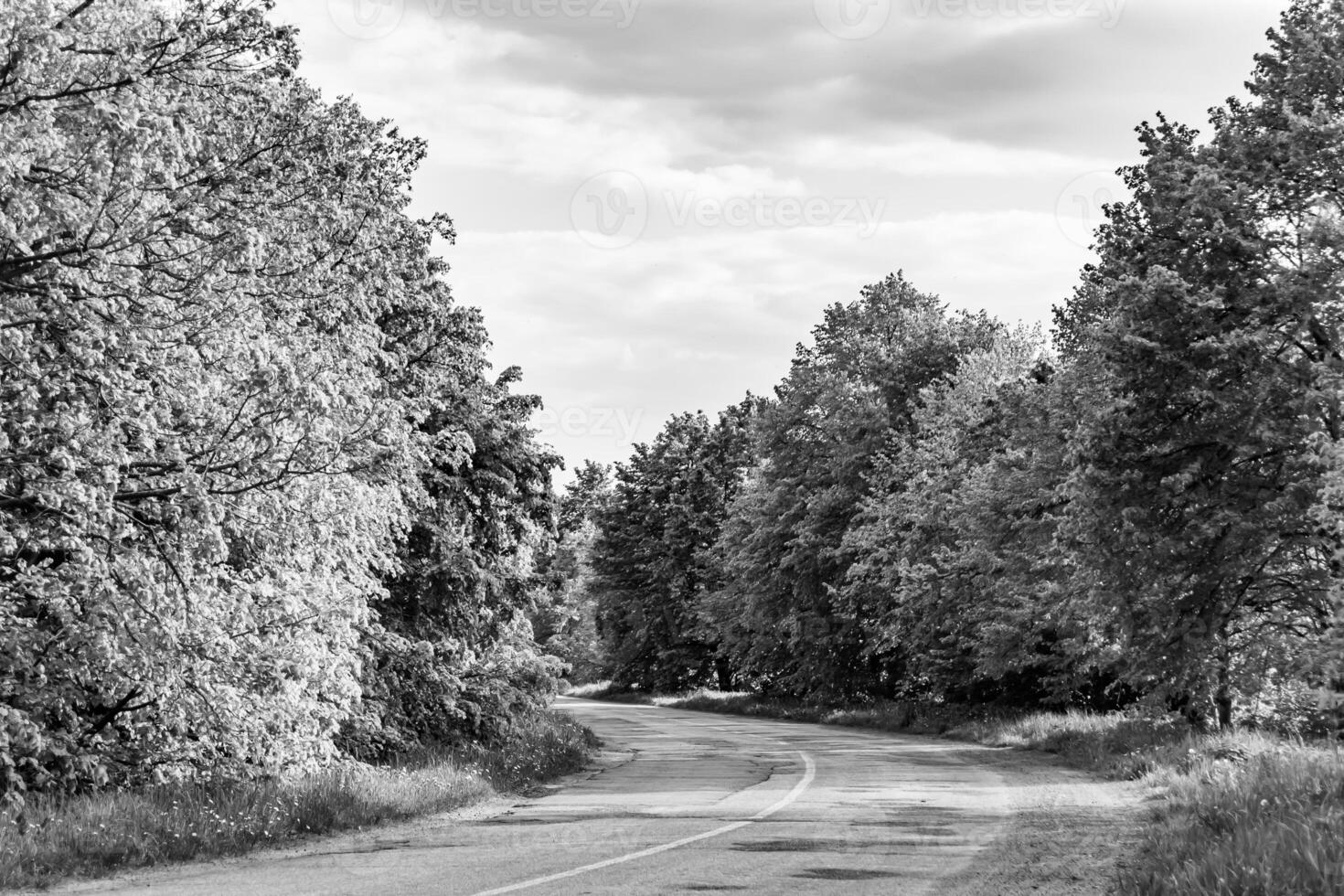 mooi leeg asfalt weg in platteland Aan donker achtergrond foto
