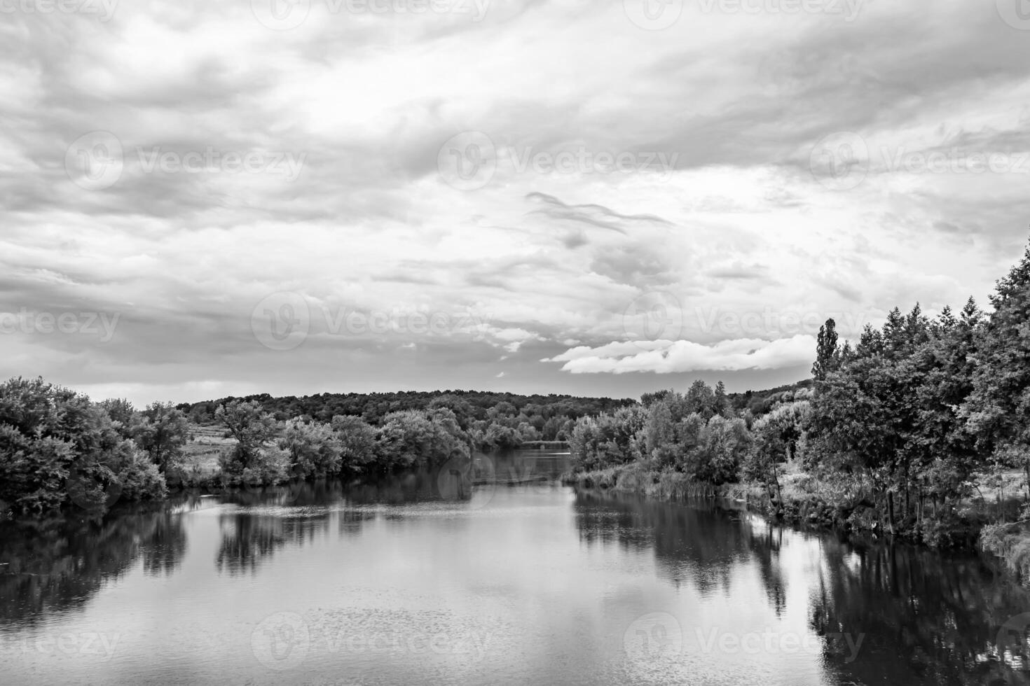 mooi gras moeras riet groeit Aan kust reservoir in platteland foto