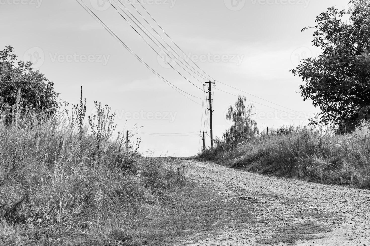 mooi leeg asfalt weg in platteland Aan licht achtergrond foto