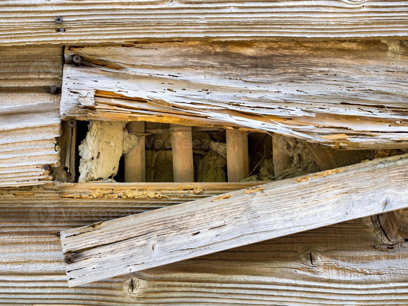 verroest nagel, verweerd borden van een verlaten schuur met gebarsten houten planken foto