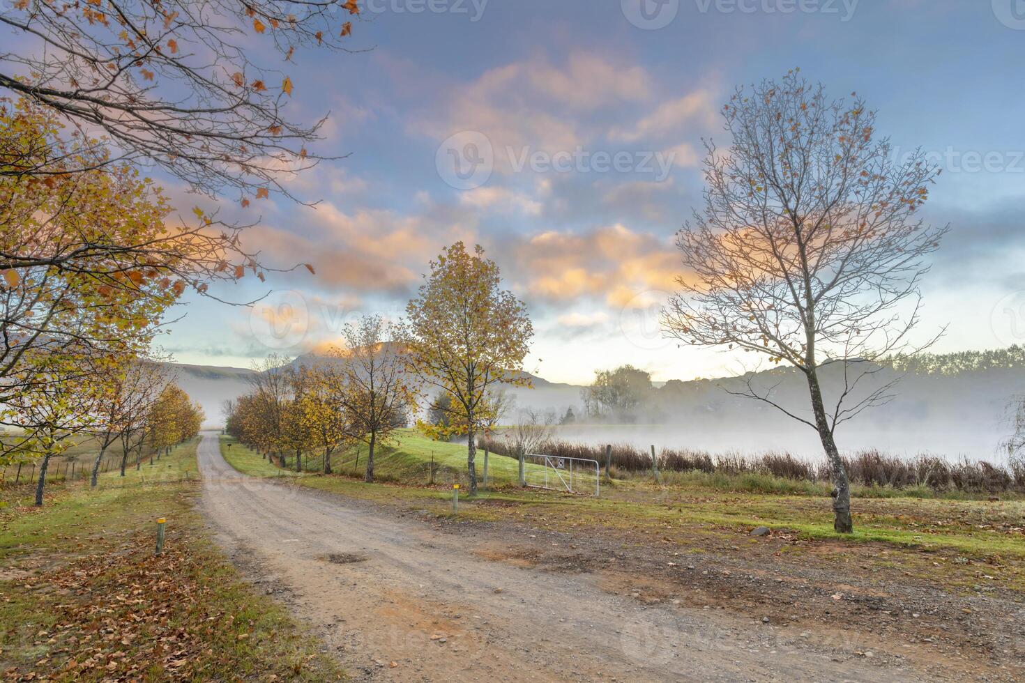 herfst gekleurde bomen en wolken gekleurde door de zon foto