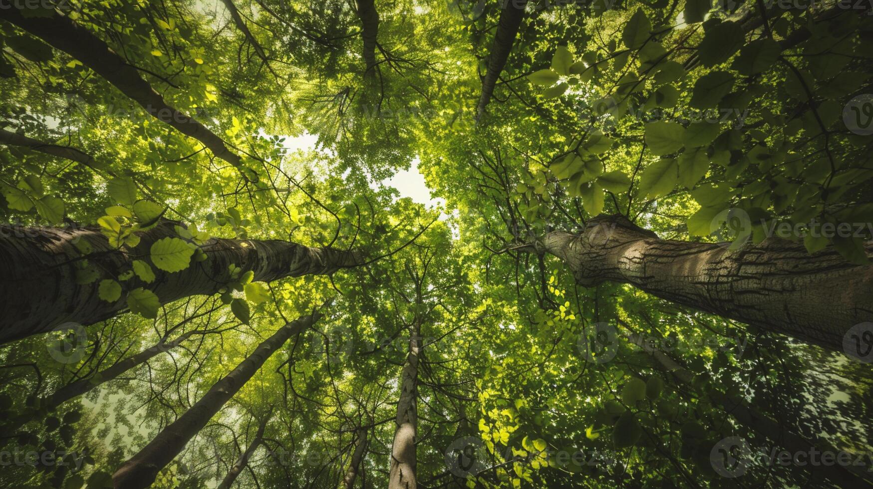 ai gegenereerd Woud bomen visie van hieronder in de lucht. natuur groen hout zonlicht achtergronden foto