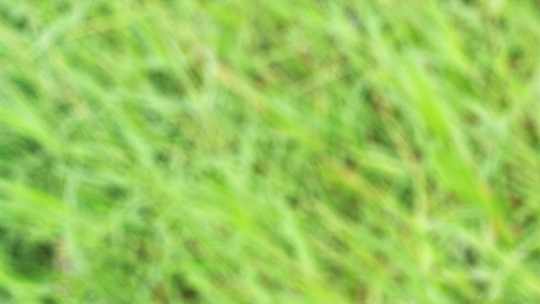 wazig groen gras abstract achtergrond foto