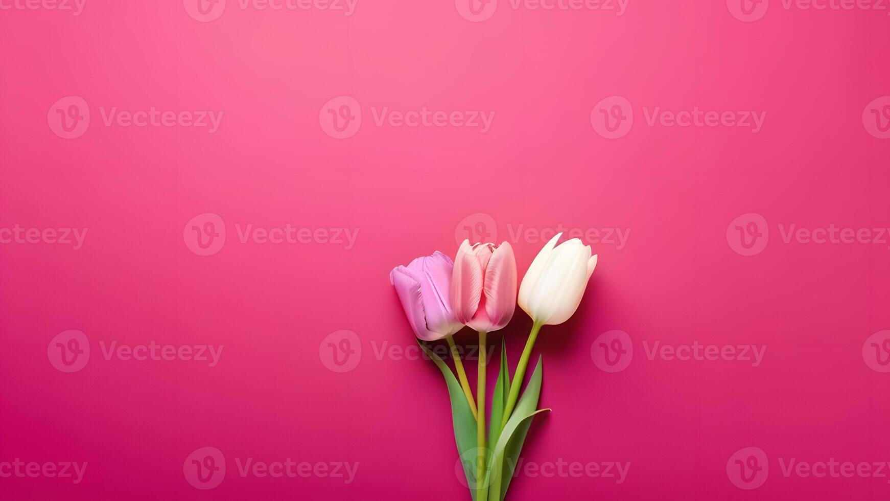 ai gegenereerd roze en wit tulpen Aan roze achtergrond. top visie, kopiëren ruimte foto