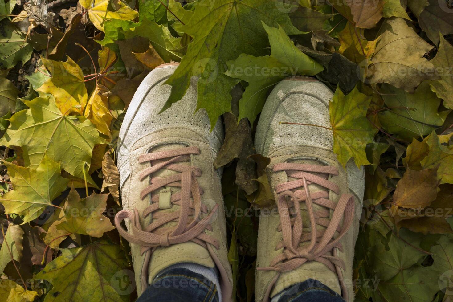 vrouw wandelen in herfst park. meisjes voeten in sportschoenen Aan de gedaald bladeren. foto