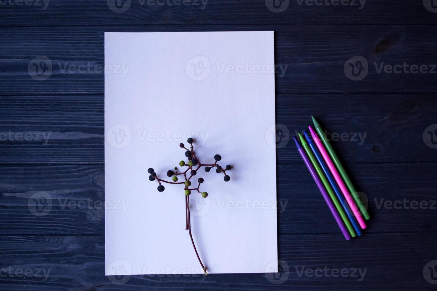 wit papier, veelkleurig potloden en Afdeling van wild druif. foto