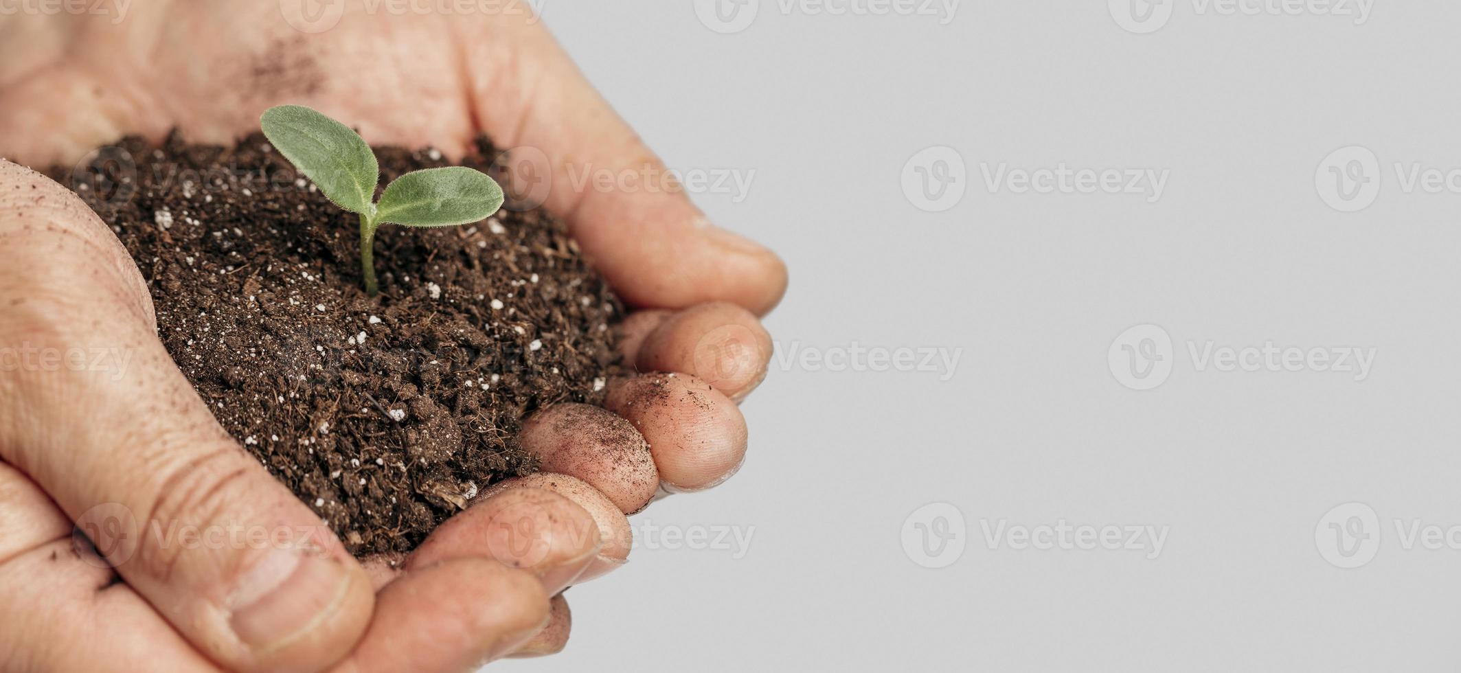 handen met grond groeiende plant foto