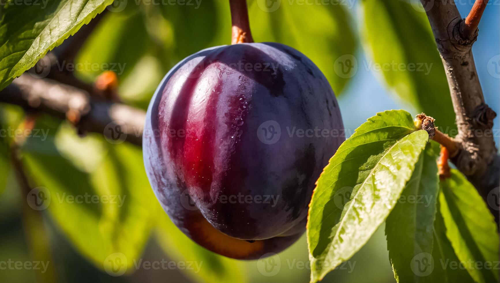 ai gegenereerd biologisch Pruim Aan een Afdeling tegen de achtergrond van de tuin foto