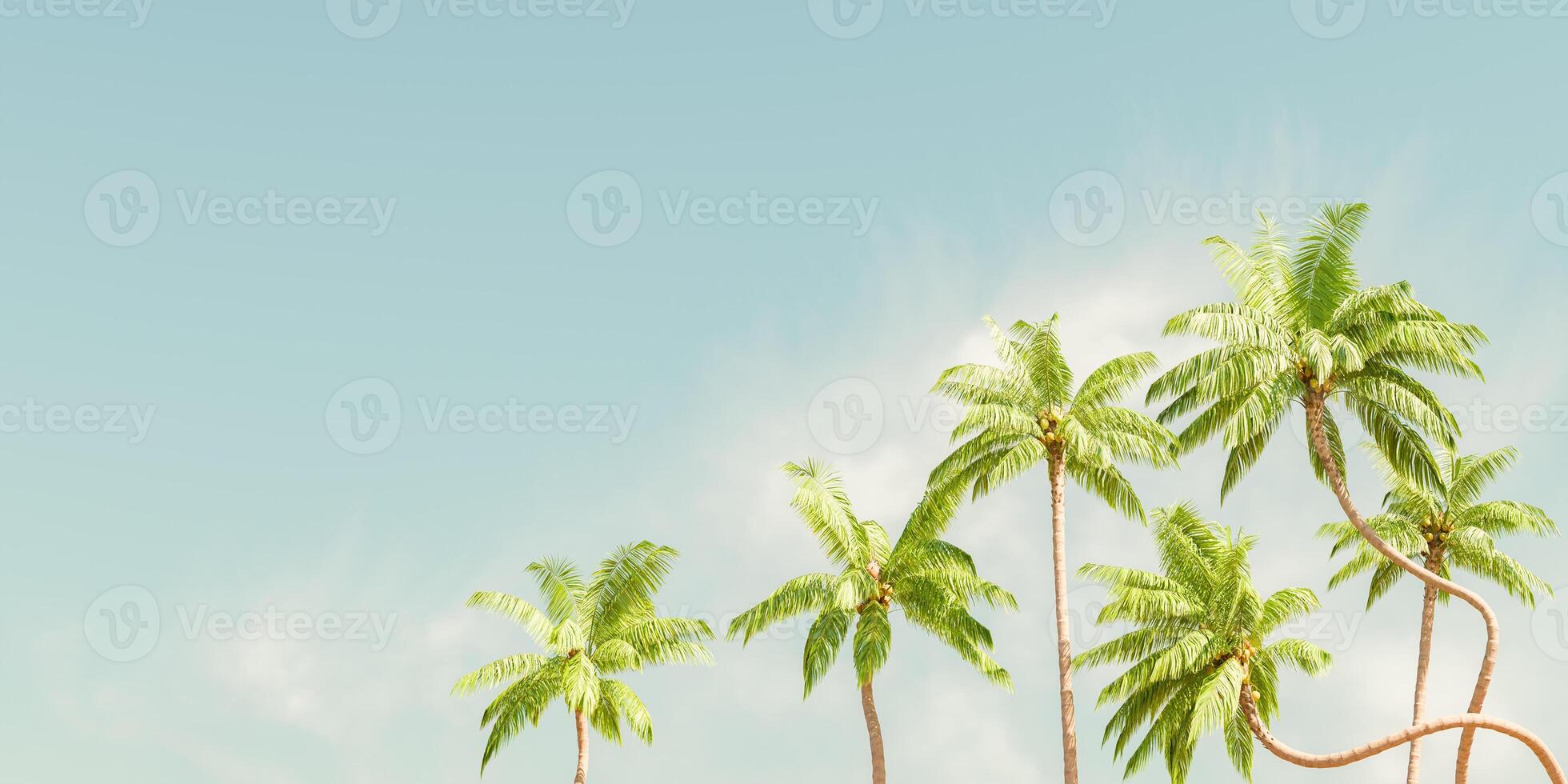 gebogen palm bomen tegen Doorzichtig lucht achtergrond foto
