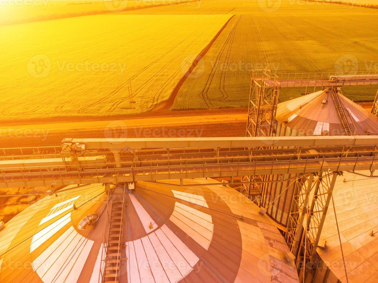 modern metaal silo's Aan agro-verwerking en fabricage fabriek. antenne visie van graanschuur lift verwerken drogen schoonmaak en opslagruimte van agrarisch producten, meel, granen en korrel. niemand. foto