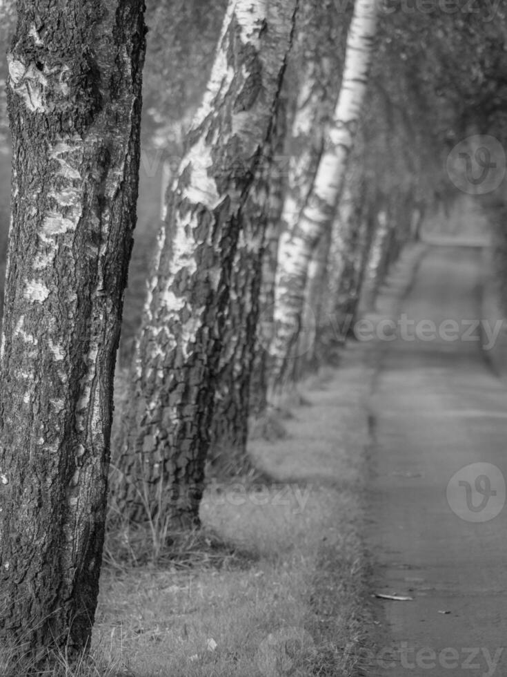 de Duitse münsterland foto