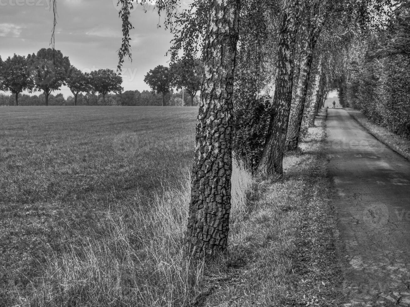 de Duitse münsterland foto