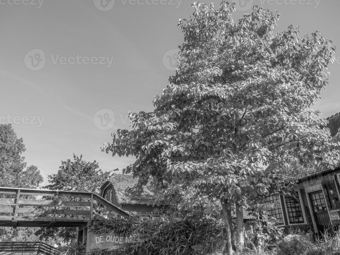 enkhuizen in nederland foto