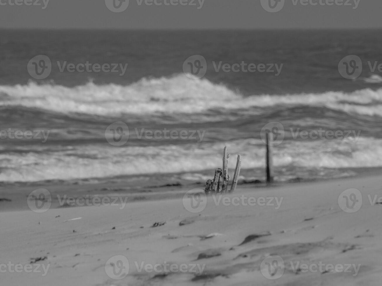 juist in de noorden zee foto