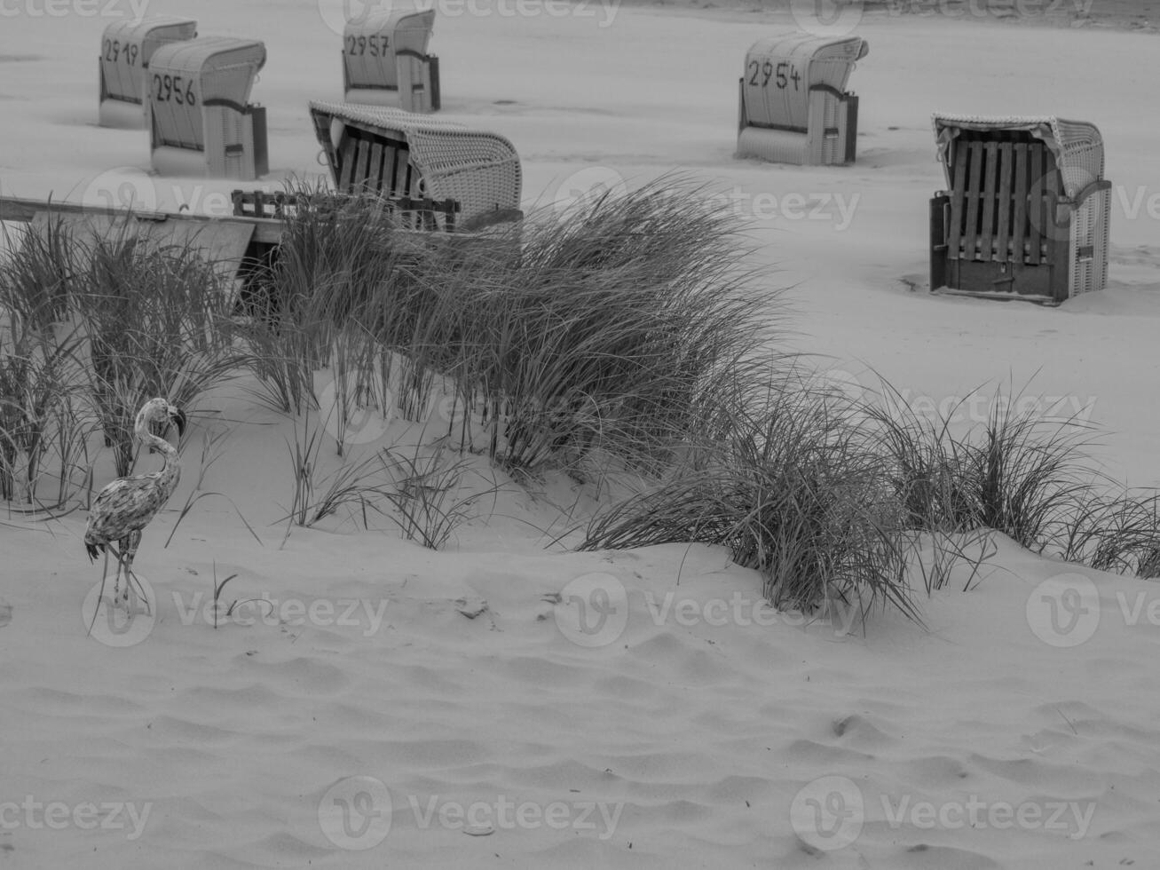 juist eiland Duitsland foto