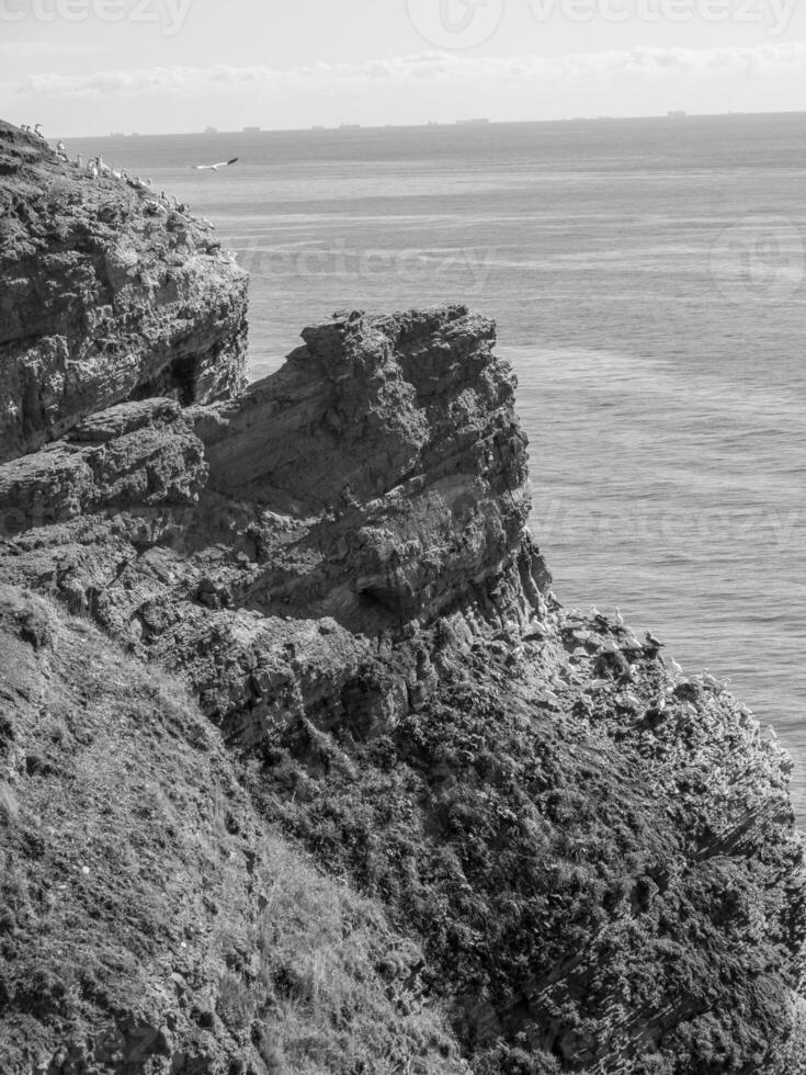 het eiland Helgoland foto