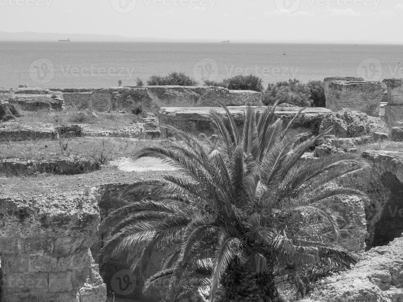 Tunis in Tunesië foto