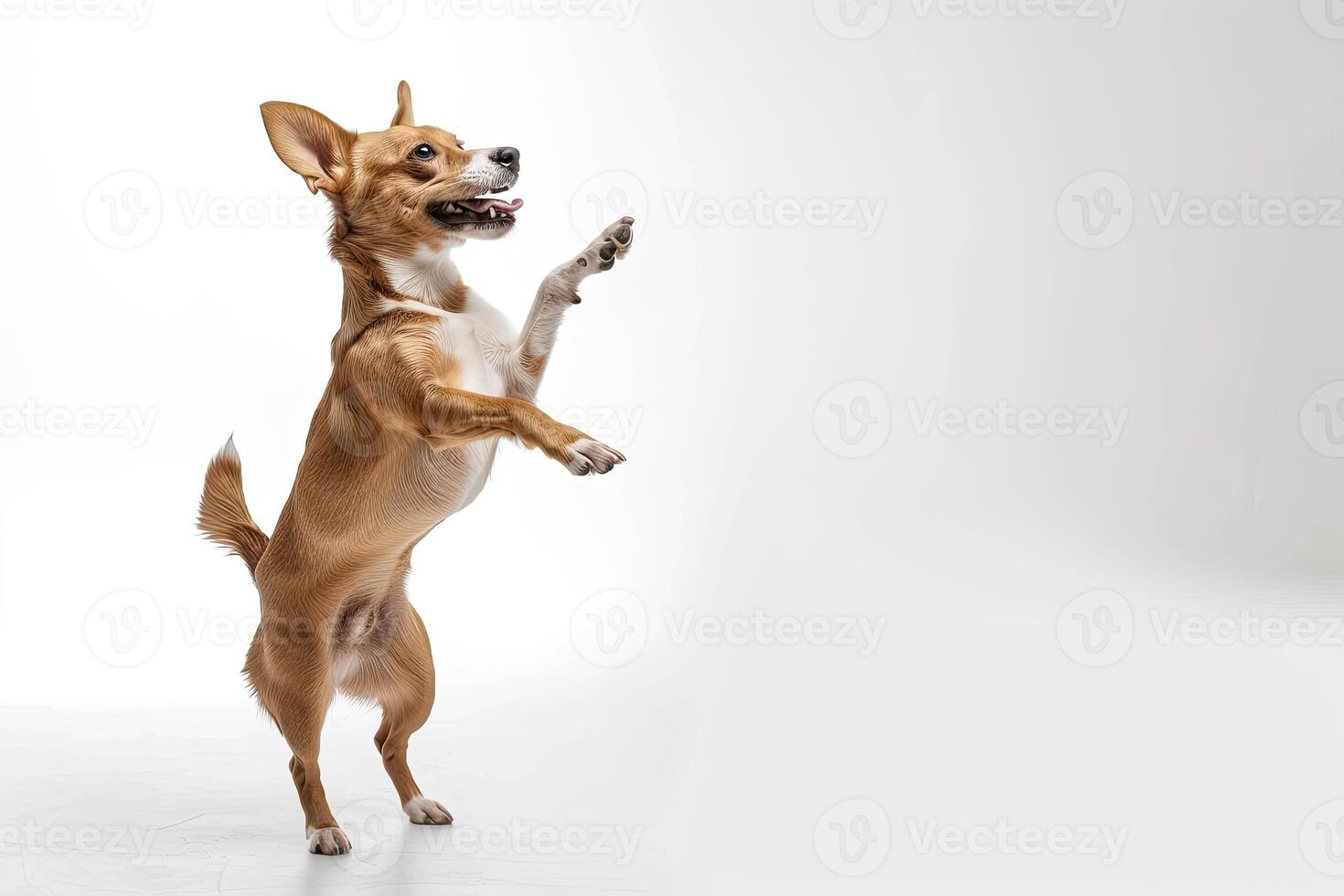 ai gegenereerd een speels hond staand Aan haar achter poten Aan wit achtergrond foto