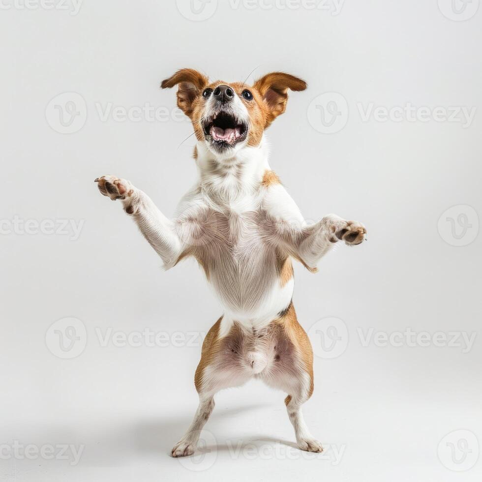 ai gegenereerd een speels hond staand Aan haar achter poten Aan wit achtergrond foto