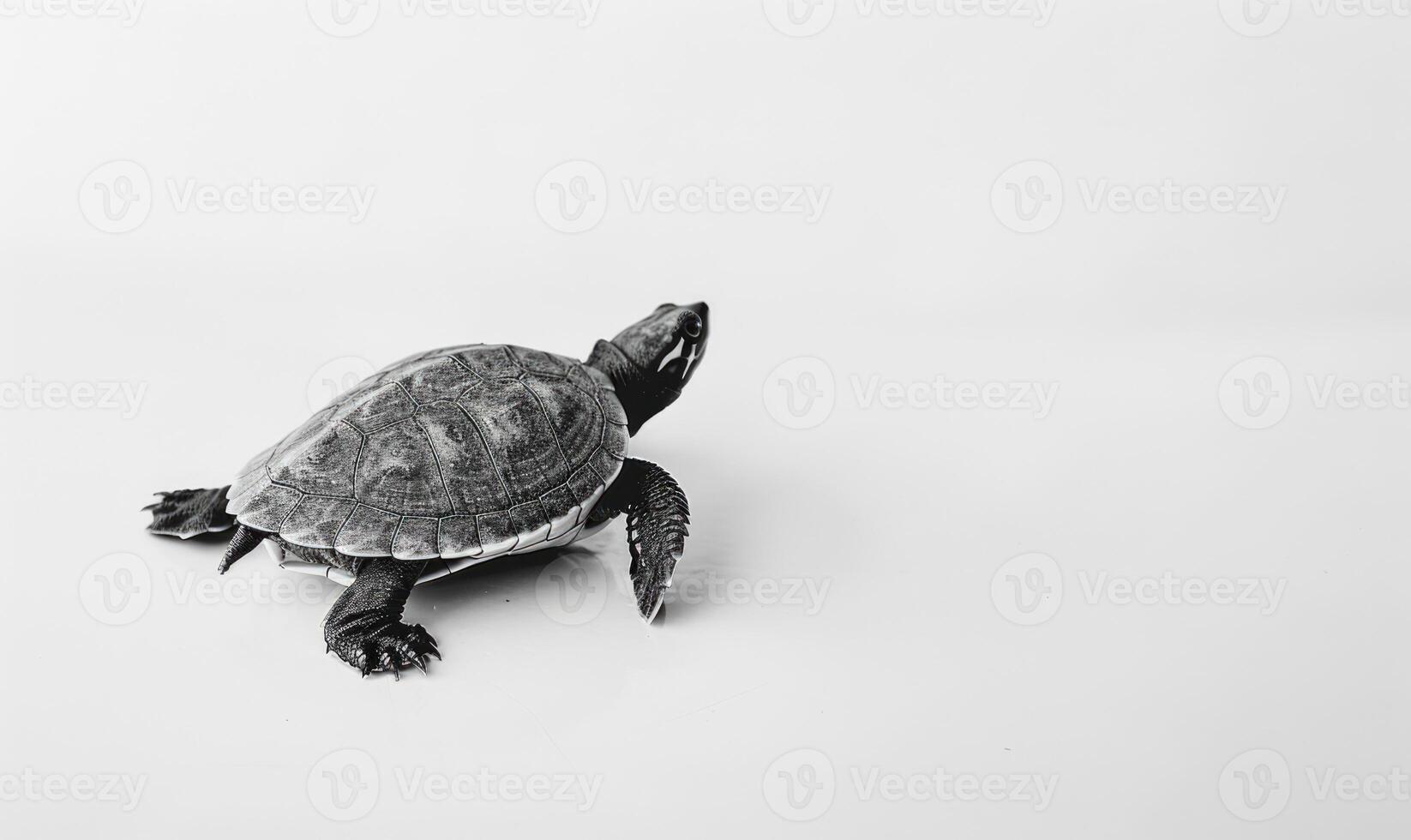 ai gegenereerd schildpad Aan een wit achtergrond, ruimte voor tekst, monochroom afbeelding, minimalisme concept. foto