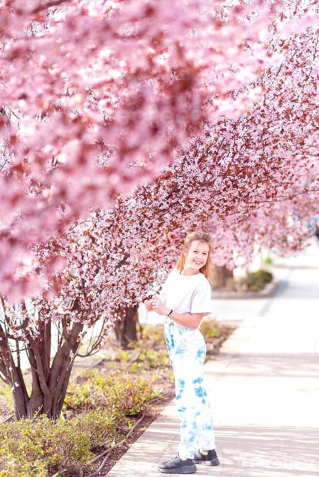 meisje tussen mooi kers bloesems in vol bloeien foto