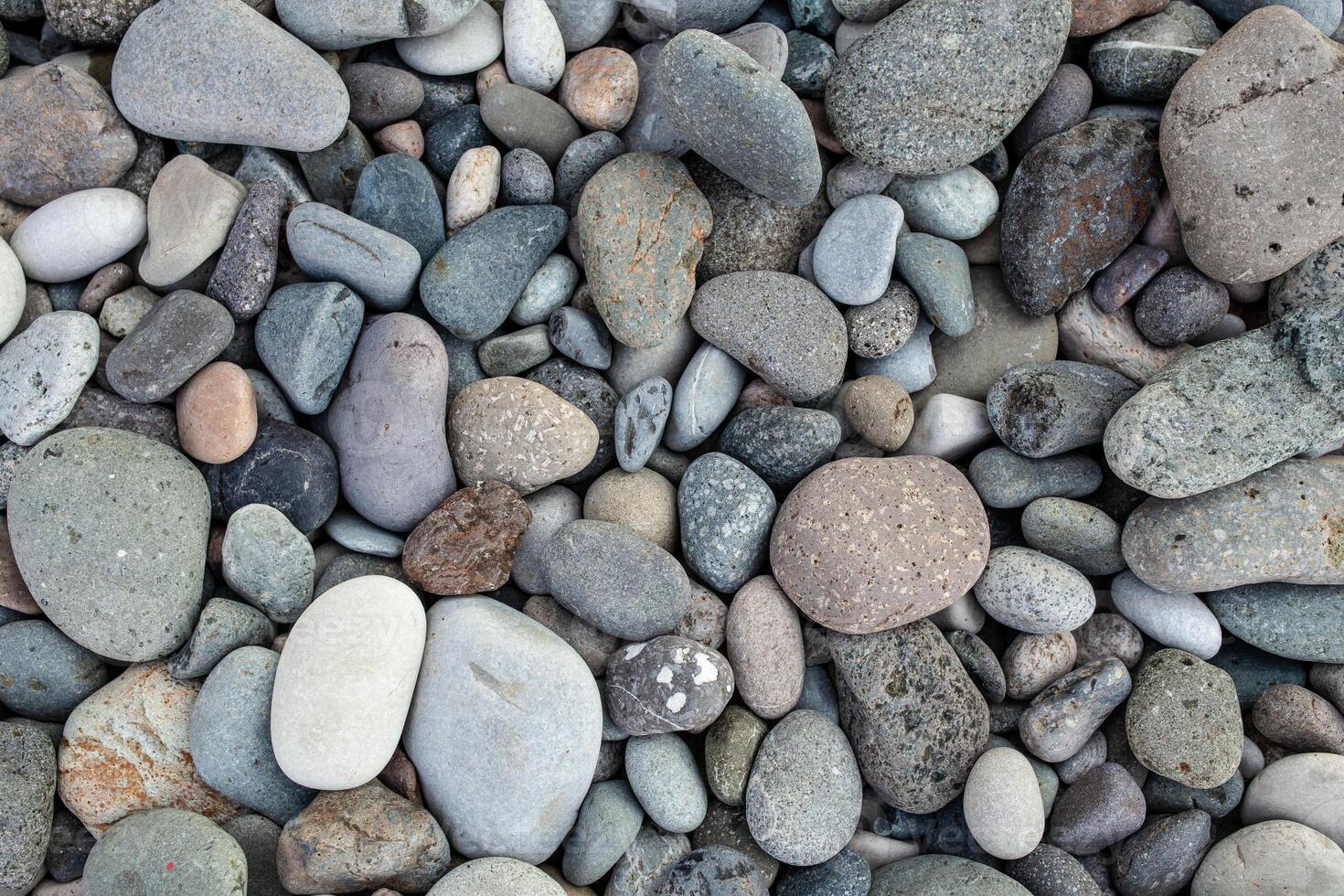 abstract achtergrond met droog ronde piemel stenen. zee steen dichtbij omhoog foto