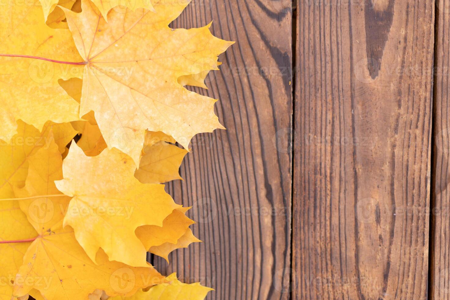 herfst bladeren kader Aan houten achtergrond top visie vallen grens geel en oranje bladeren wijnoogst hout tafel kopiëren ruimte voor tekst. foto