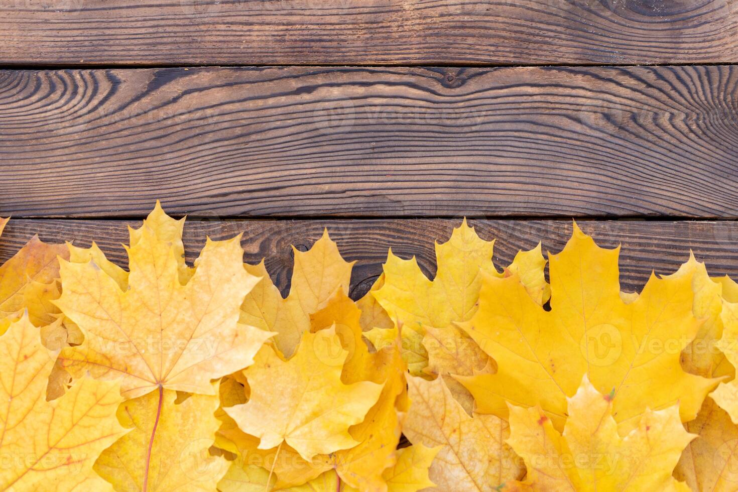 herfst bladeren kader Aan houten achtergrond top visie vallen grens geel en oranje bladeren wijnoogst hout tafel kopiëren ruimte voor tekst. foto