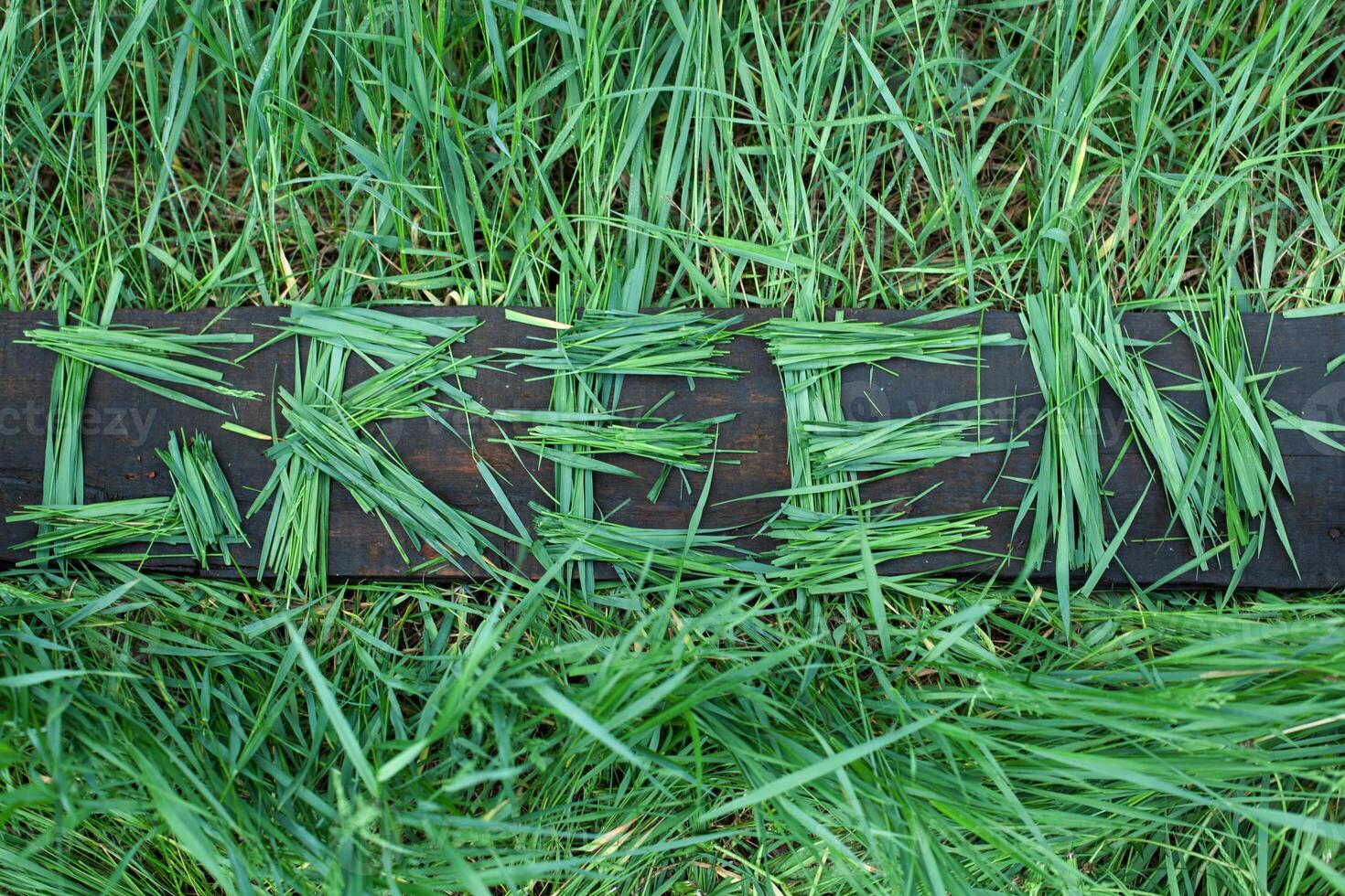 ecologisch bericht lezing groen foto