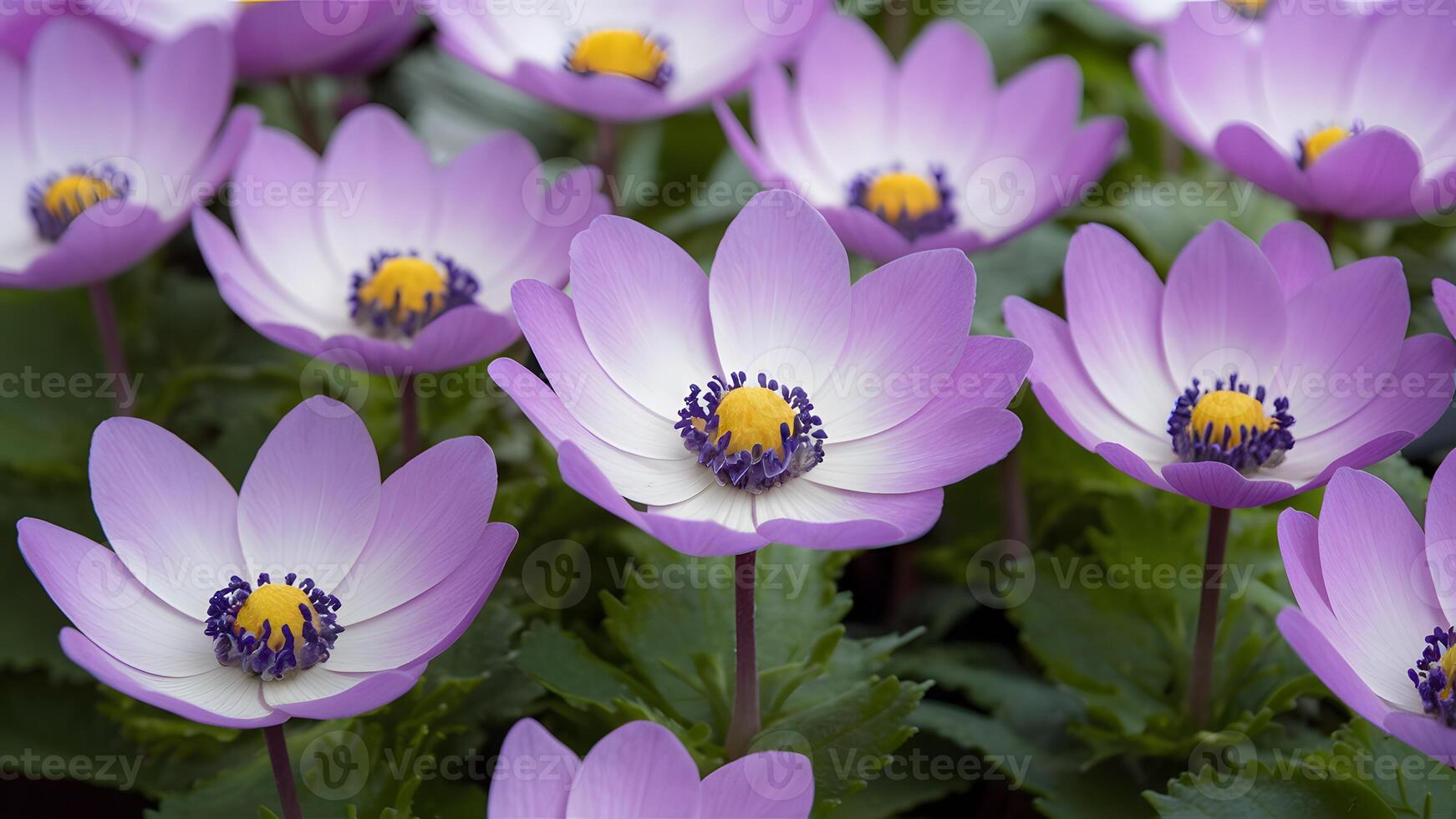 ai gegenereerd macro voorjaar foto van mooi blauw bloem anemonen