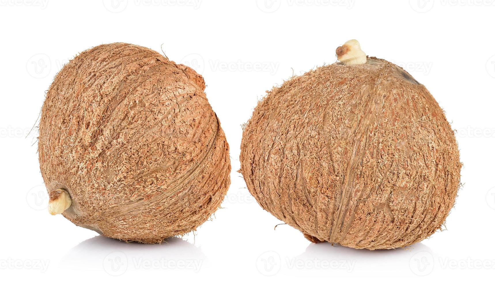 kokosnoot close-up op een witte achtergrond foto