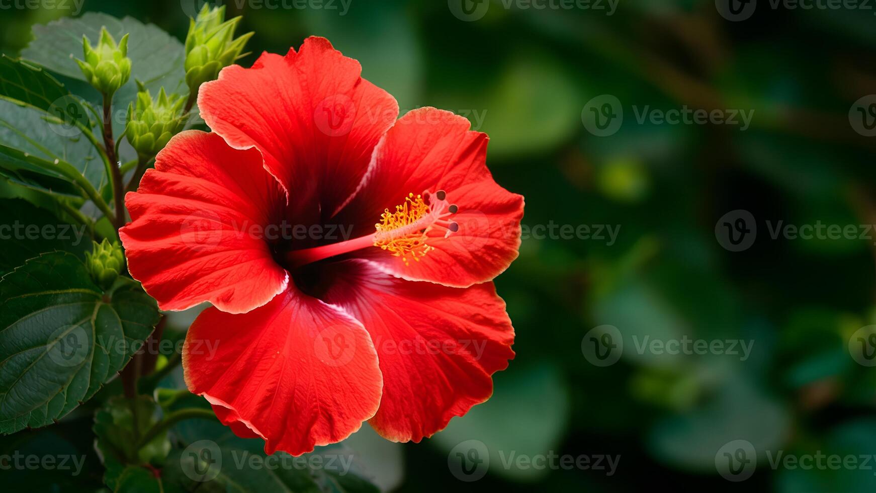 ai gegenereerd hibiscus rood bloem geïsoleerd Aan ongerept wit achtergrond foto