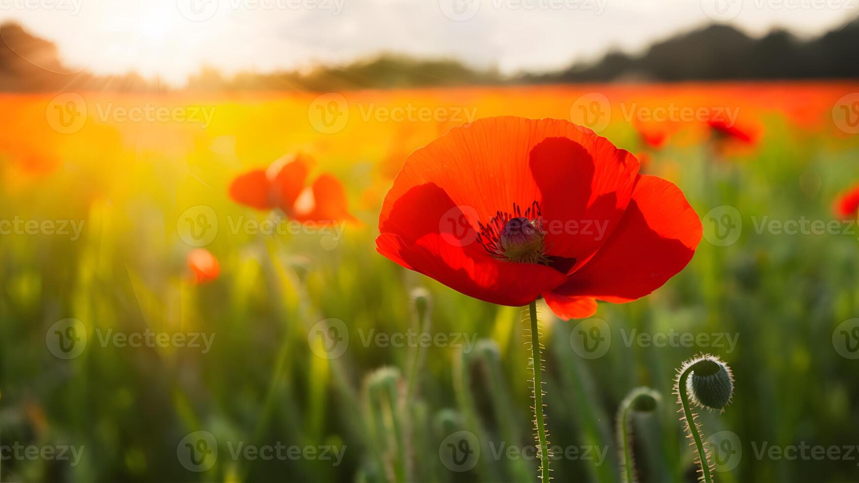 ai gegenereerd mooi rood papaver bloem met kopiëren ruimte in helder veld- foto