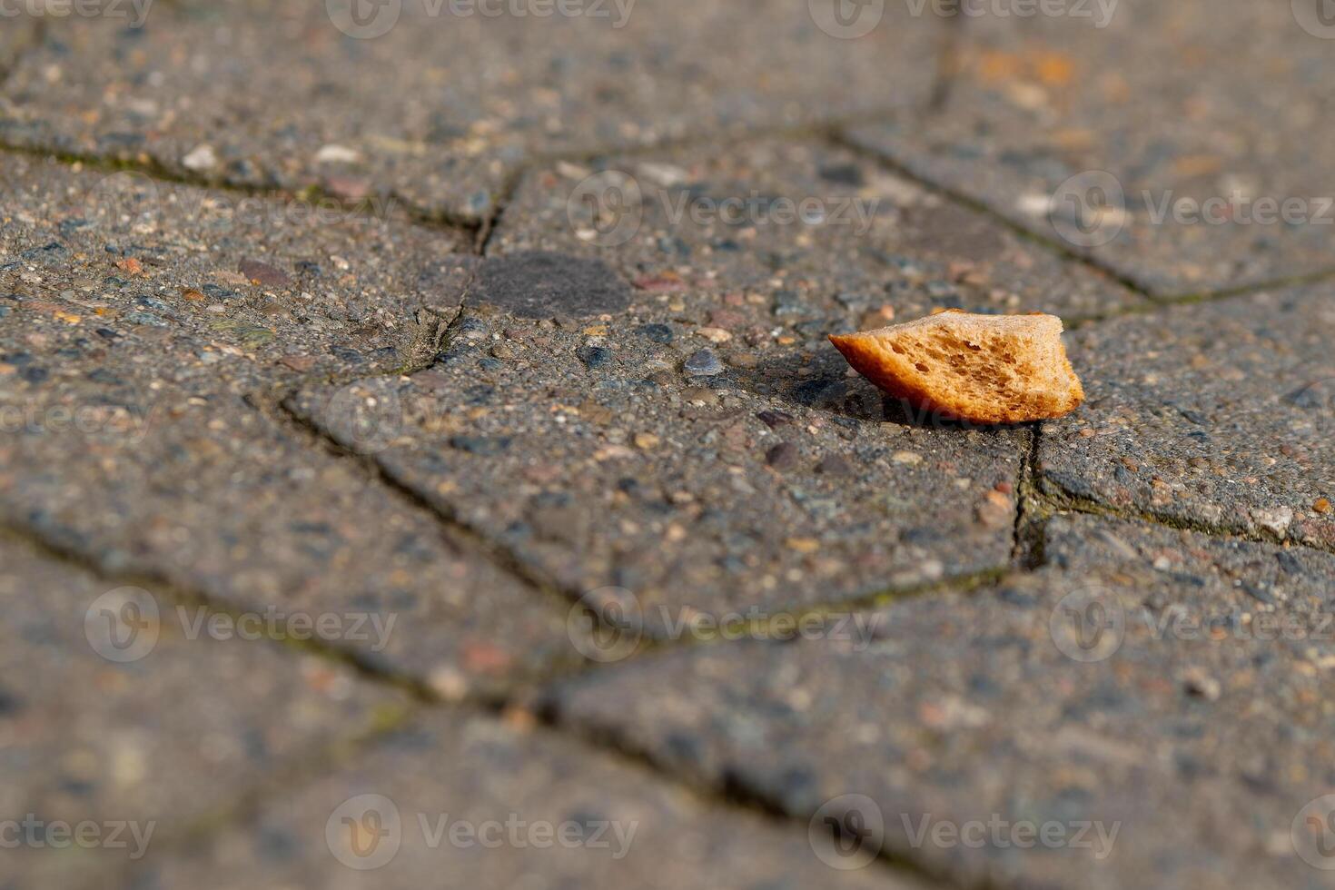 een stuk van brood Aan een voetpad foto