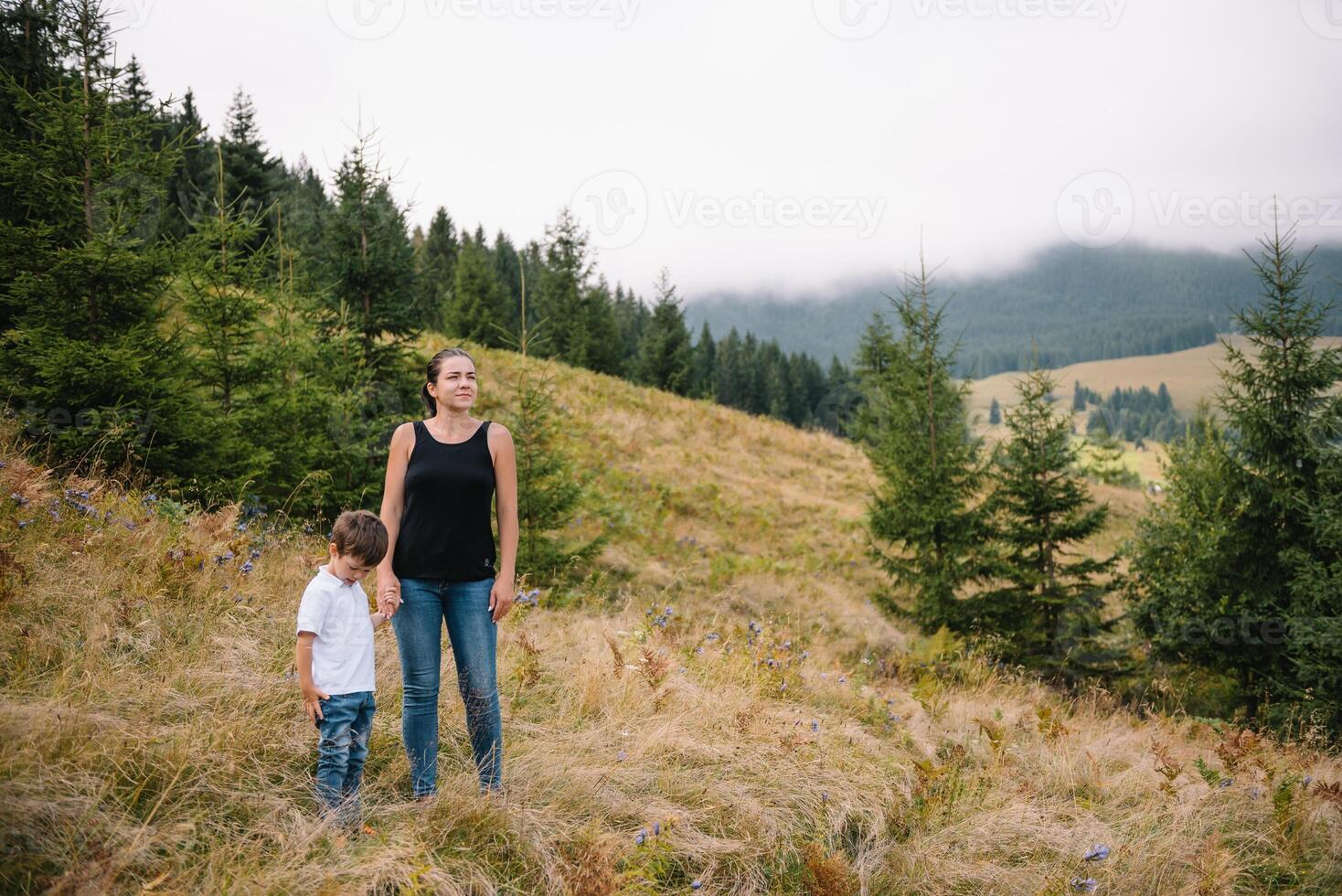 jong mam met baby jongen reizend. moeder Aan wandelen avontuur met kind, familie reis in bergen. nationaal park. wandeltocht met kinderen. actief zomer vakantie. foto