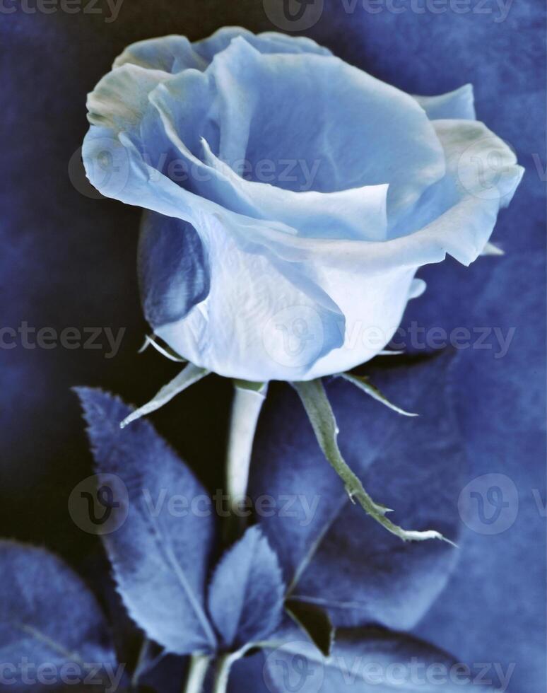 ai gegenereerd een vlak scannen van een cyanotype van een bloem met blauw papier foto