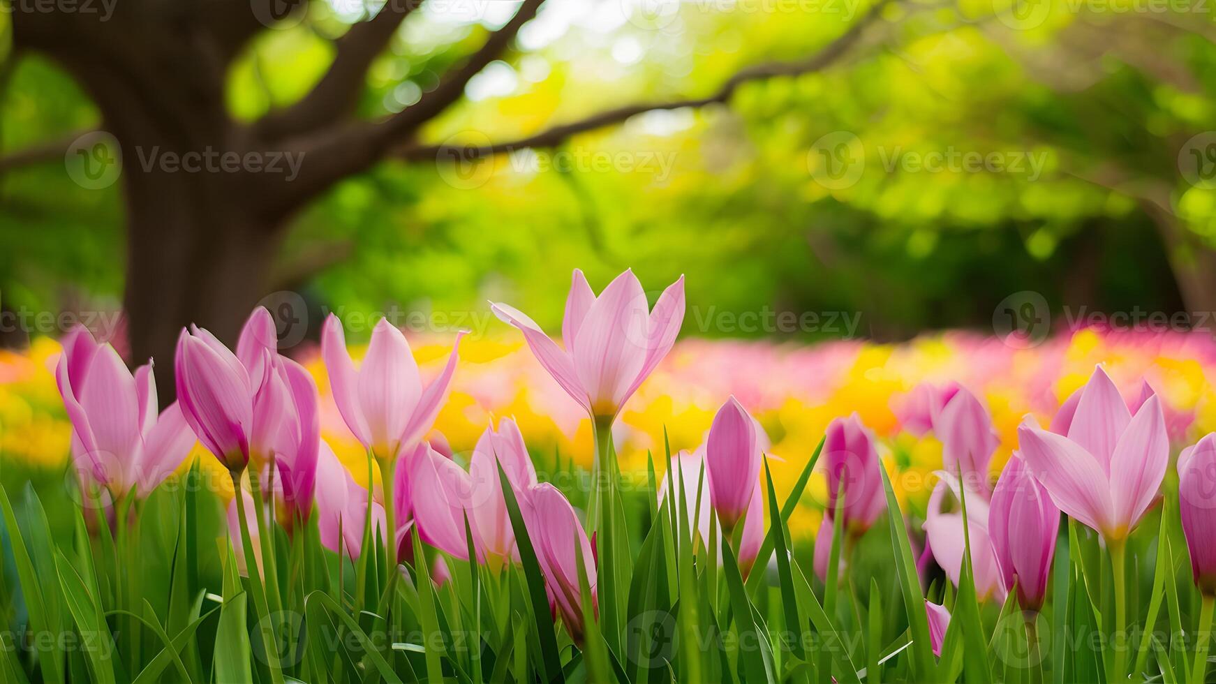 ai gegenereerd gekleurde wazig achtergrond van mooi seizoensgebonden voorjaar bloemen, bomen foto