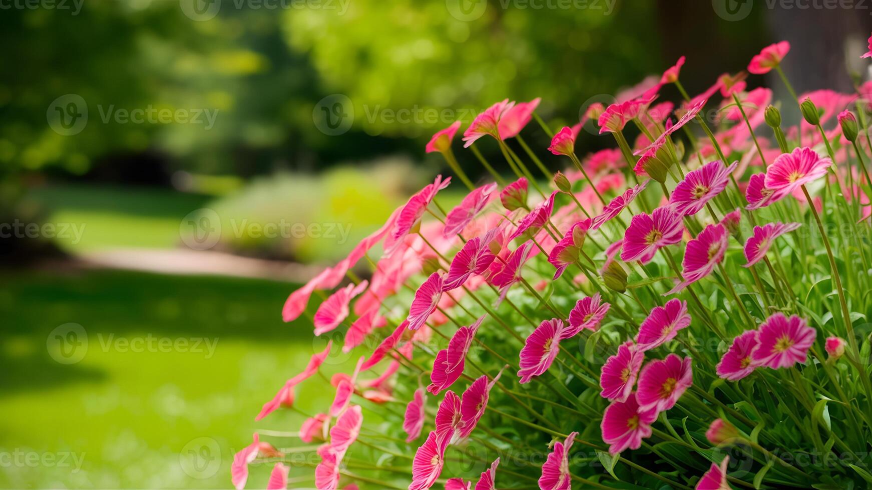 ai gegenereerd kader wazig zomer tuin park achtergrond met dianthus bloemen, tuinieren foto