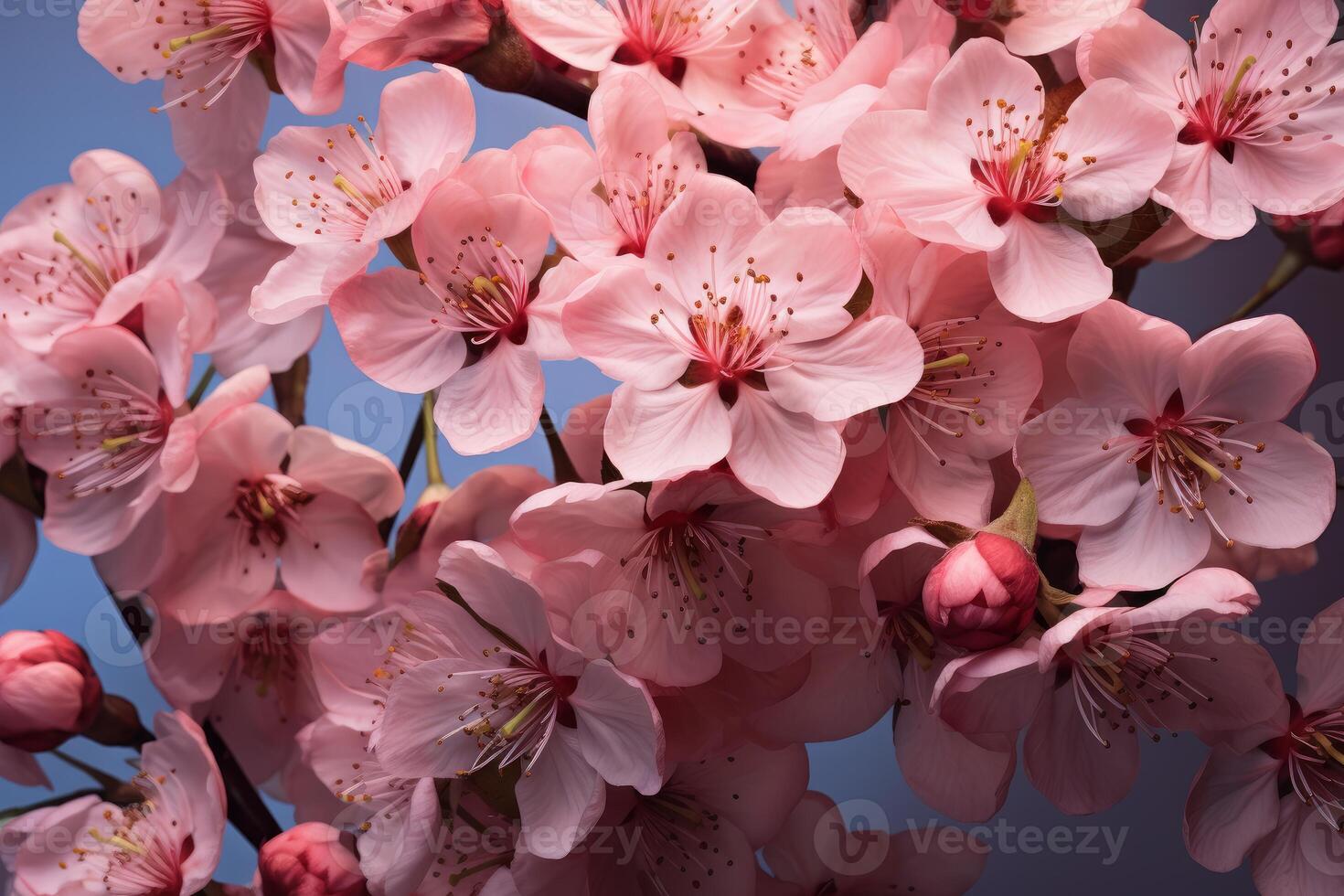 ai gegenereerd levendig roze kers bloemen. genereren ai foto