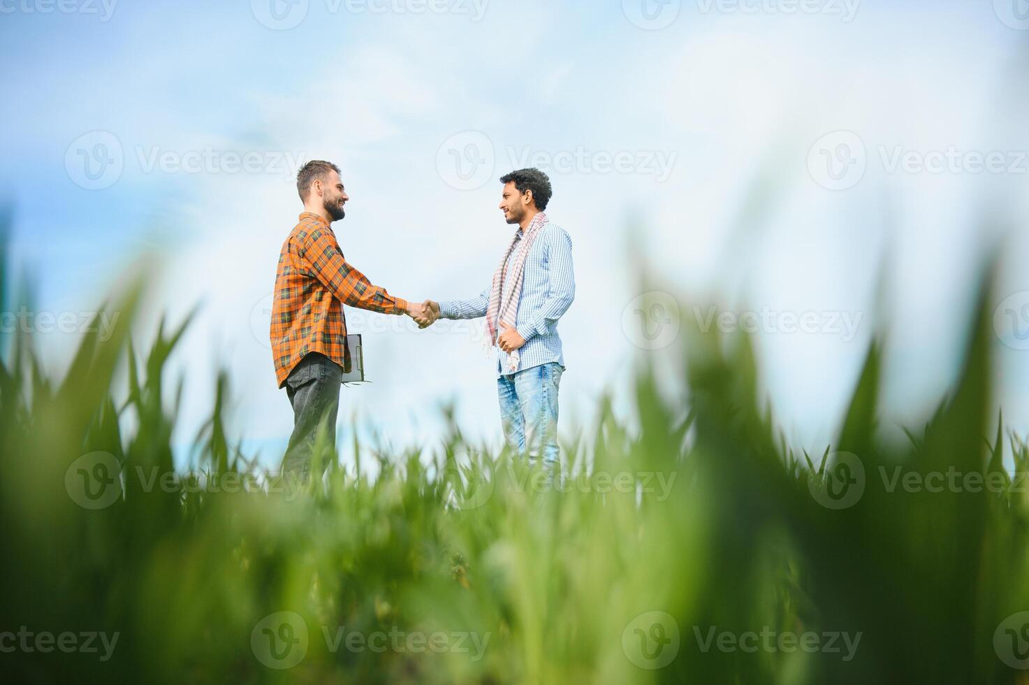 de concept van Internationale relaties in agrarisch bedrijf. Indisch en Europese boeren staan in een veld- van groen tarwe foto