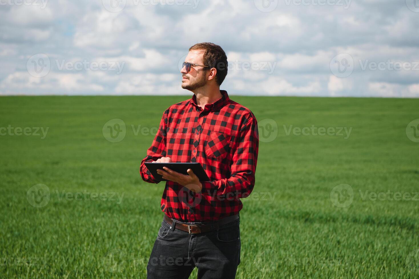 boer in rood gecontroleerd overhemd gebruik makend van tablet Aan tarwe veld. toepassen modern technologie en toepassingen in landbouw. concept van slim landbouw en landbouwbedrijf. foto