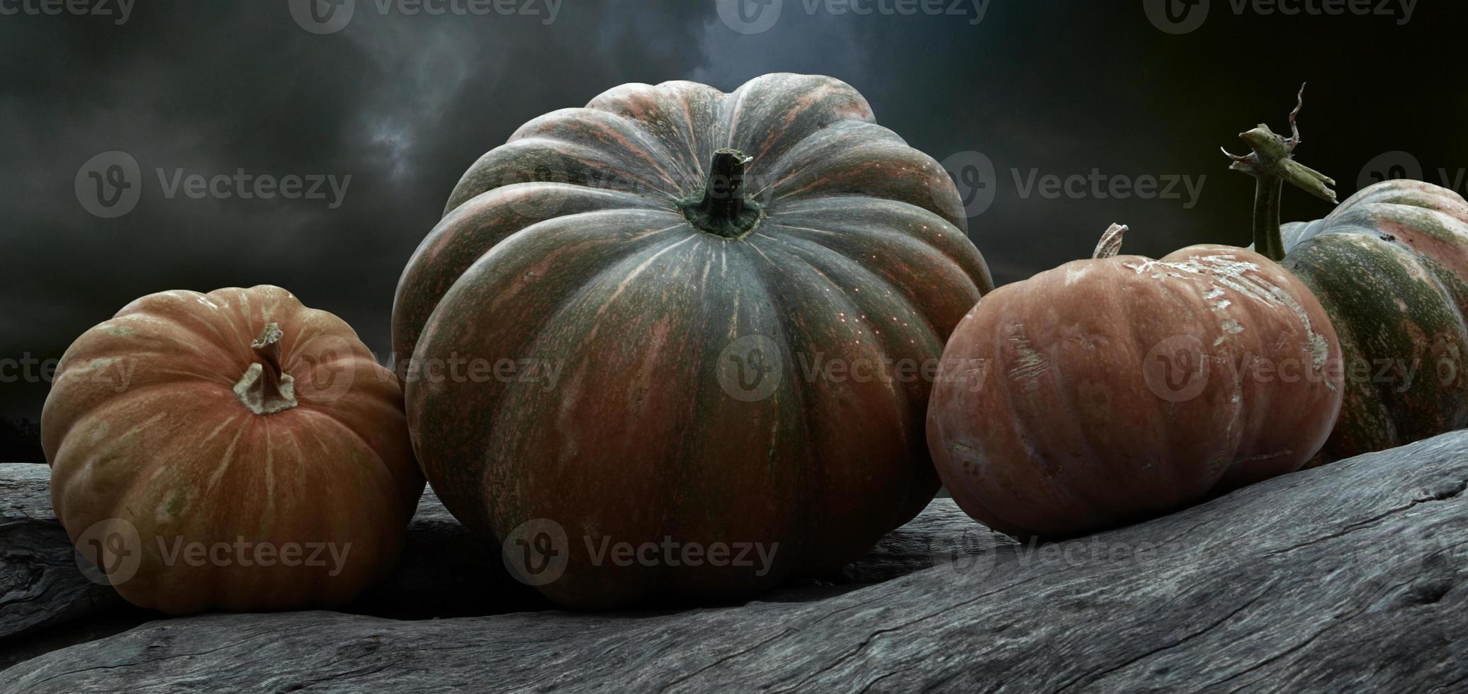 verzameling van verschillende pompoenen voor de herfstgroentemarkt. verzameling van verschillende pompoenen, halloween-thema. foto