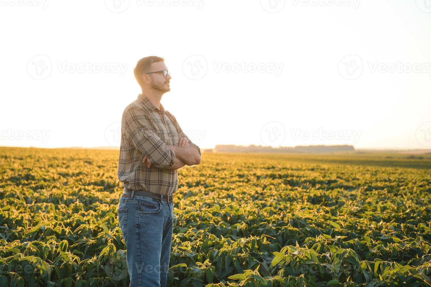 agronoom inspecteren soja Boon gewassen groeit in de boerderij veld. landbouw productie concept. jong agronoom onderzoekt soja Bijsnijden Aan veld- in zomer. boer Aan soja veld- foto