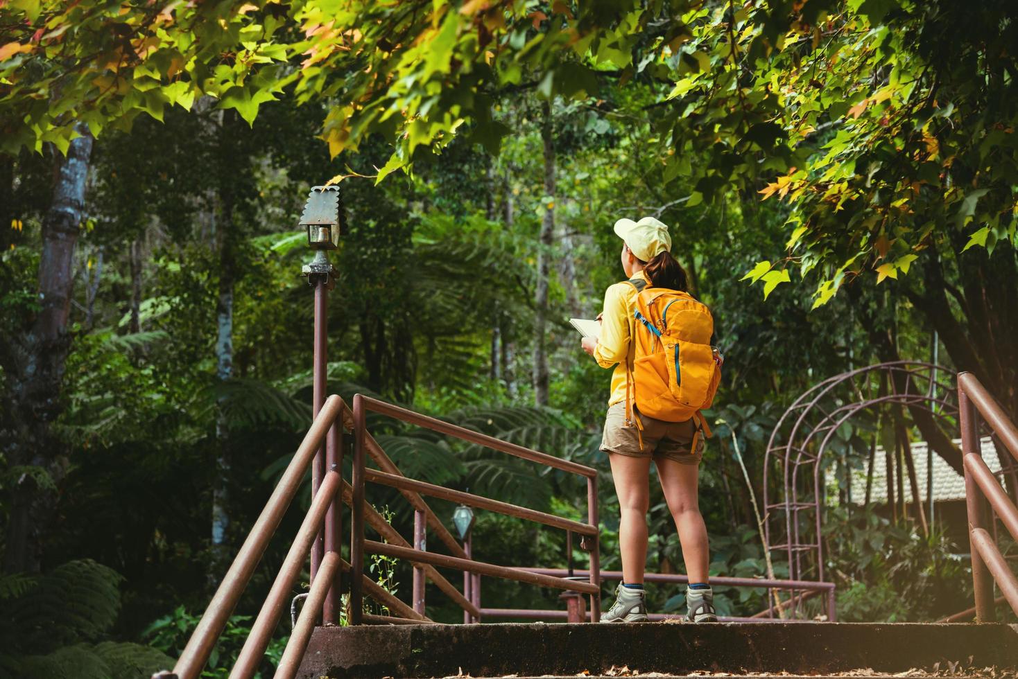 reizen om de natuur te bestuderen in het regenwoud van jonge vrouwen. foto