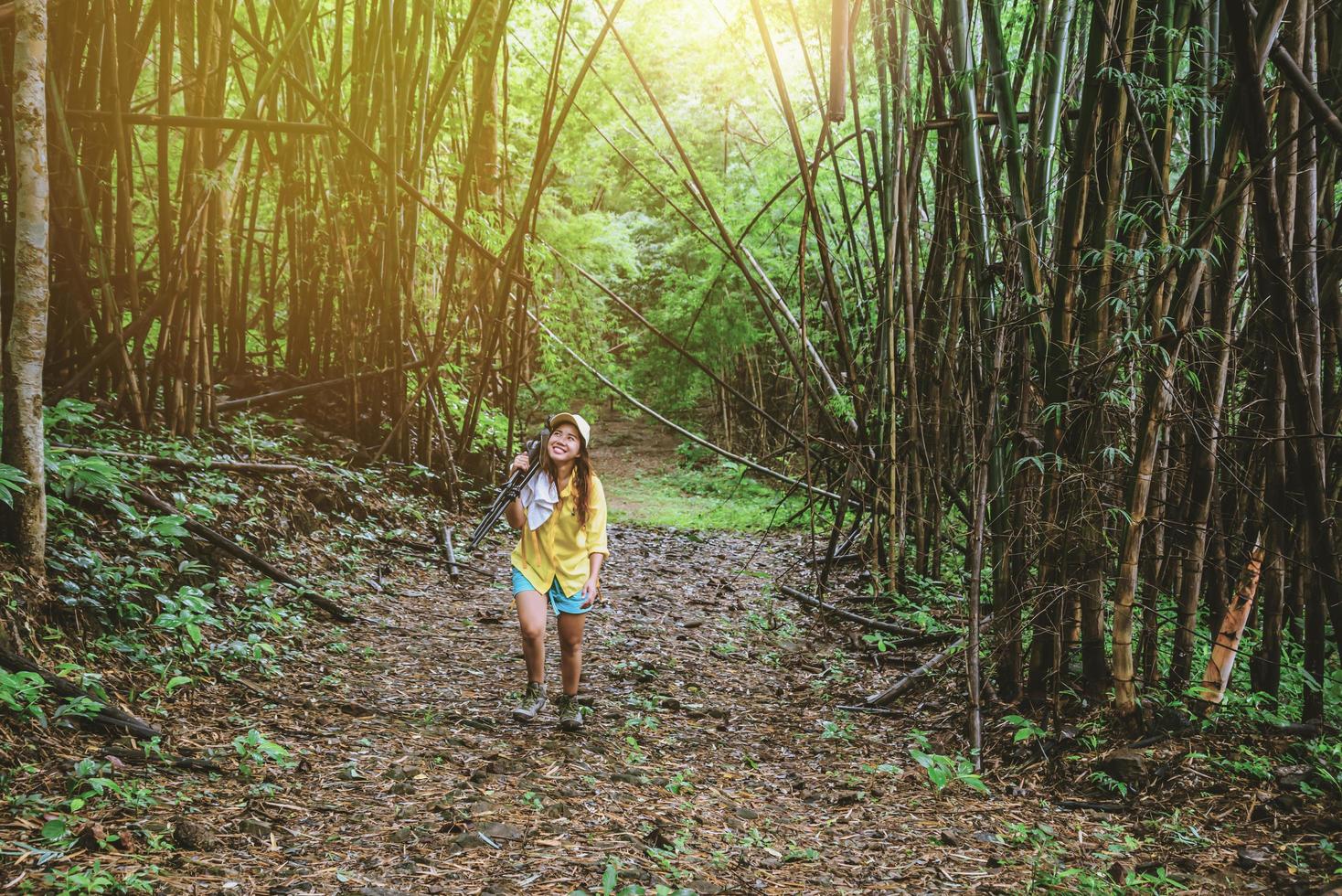 fotograaf vrouw plezier blij met wandelen reizen natuur. reizen ontspannen en natuurstudie. in het bamboebos in de zomer. foto