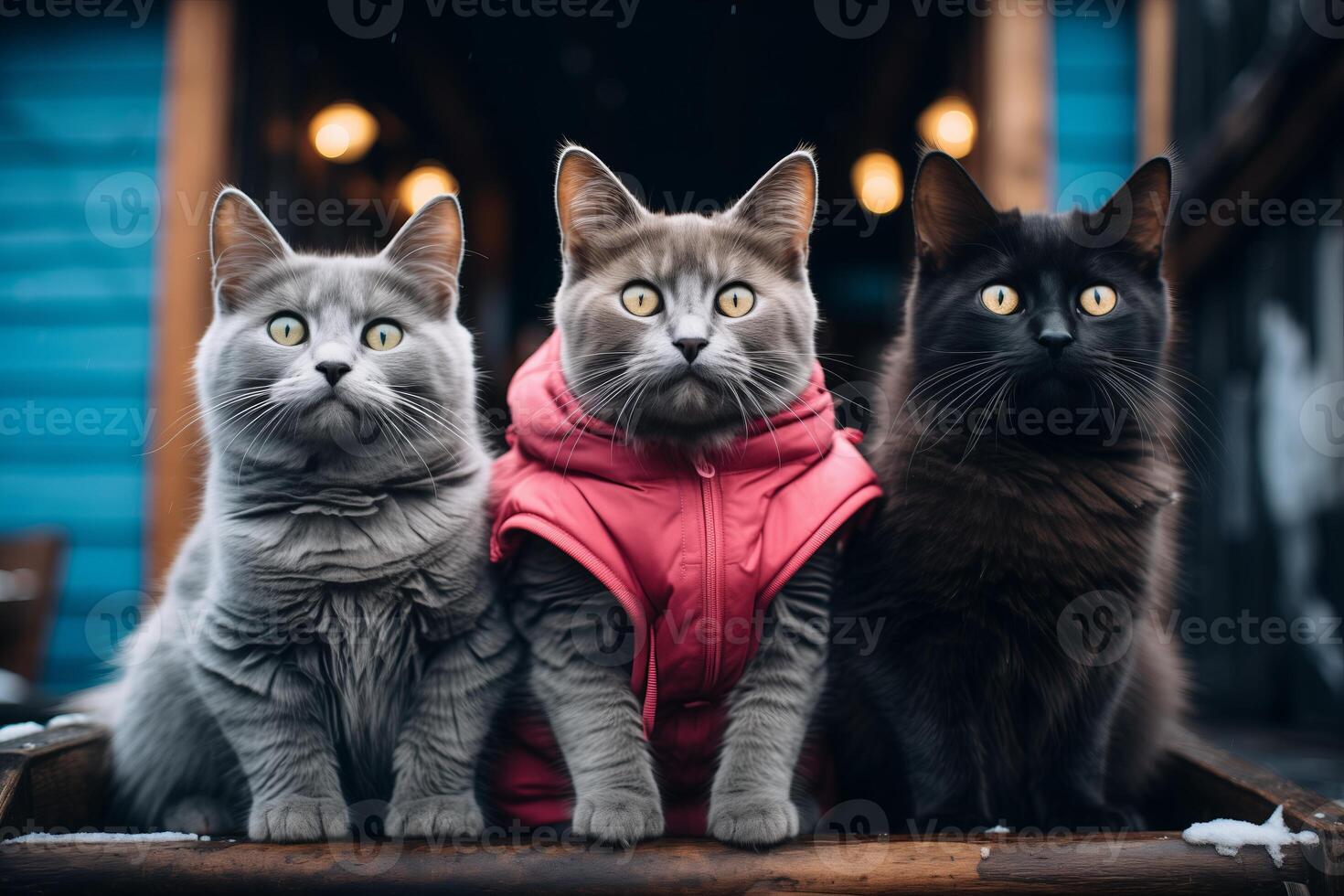 ai gegenereerd drie huiselijk katten zijn gezeten nauw naast elk andere in een rij met nieuwsgierig uitdrukkingen Aan hun gezichten, weergeven een moment van katachtig gezelschap. foto